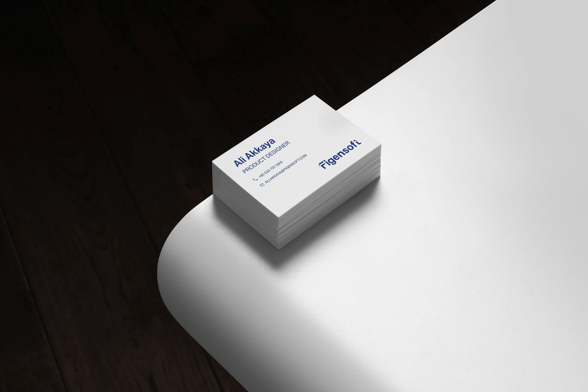 Figensoft Brand Identity — 1